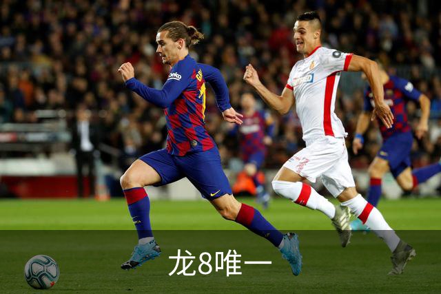 龙8唯一企业介绍